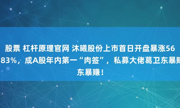 股票 杠杆原理官网 沐曦股份上市首日开盘暴涨568.83%，成A股年内第一“肉签”，私募大佬葛卫东暴赚！
