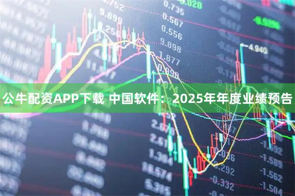 公牛配资APP下载 中国软件：2025年年度业绩预告